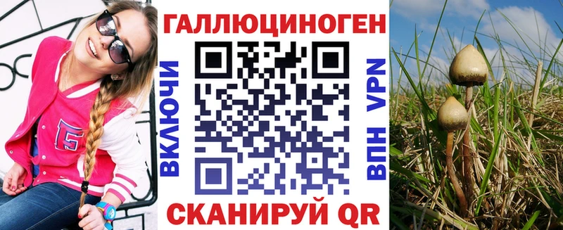 hydra как зайти Фёдоровский Псилоцибиновые грибы Cubensis купить наркоту